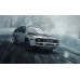 Dirt Rally (PS4, русская версия)